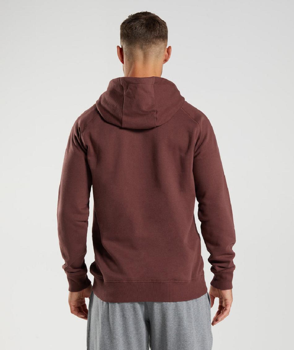 Sudadera Con Capucha Gymshark Crest Hombre Rosas Marrones | CO 3608ILH